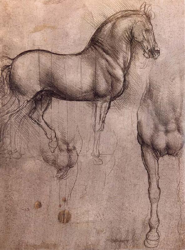 LEONARDO da Vinci Studies of horses China oil painting art